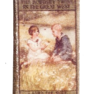 THE BOBBSEY TWINS/GREAT