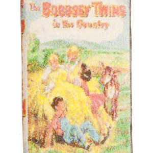 THE BOBBSEY TWINS/COUNT