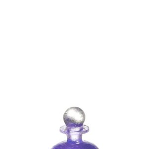BOTTLE/PURPLE