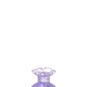 BOTTLE/PURPLE