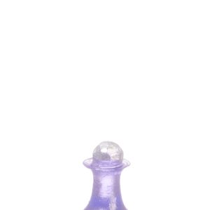 BOTTLE/PURPLE