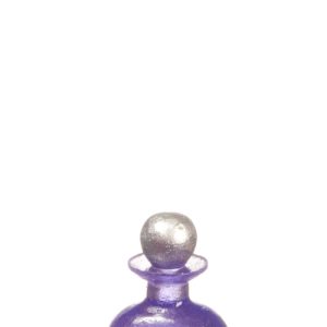 BOTTLE/PURPLE