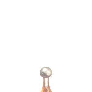 BOTTLE/PINK