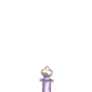 BOTTLE/PURPLE