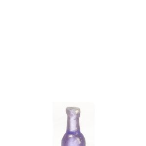 BOTTLE/PURPLE