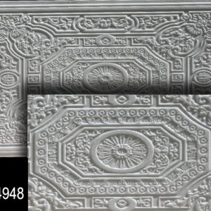POLICARD CEILING