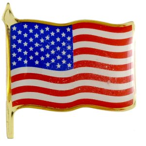 U.S.FLAG PIN