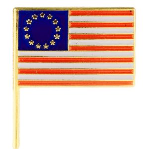 U.S.13 STAR FLAG PIN