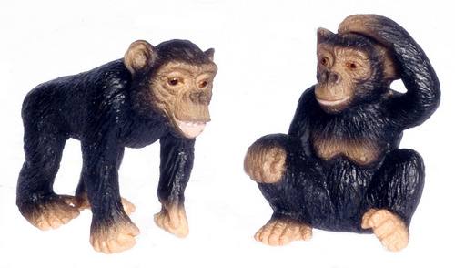 TWO CHIMPANZEES