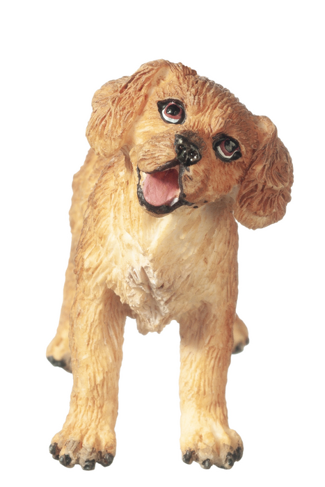 GOLDEN RETRIEVER PUPPY