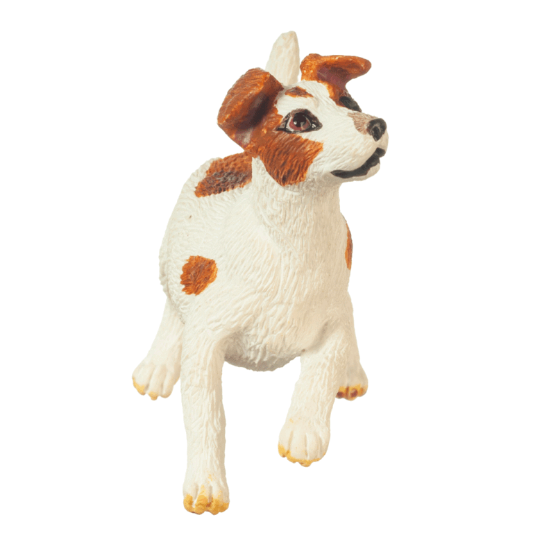 JACK RUSSELL TERRIER