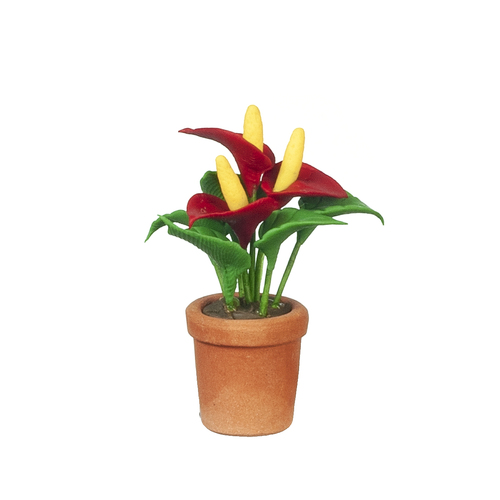 ANTHURIUM IN POT/RED