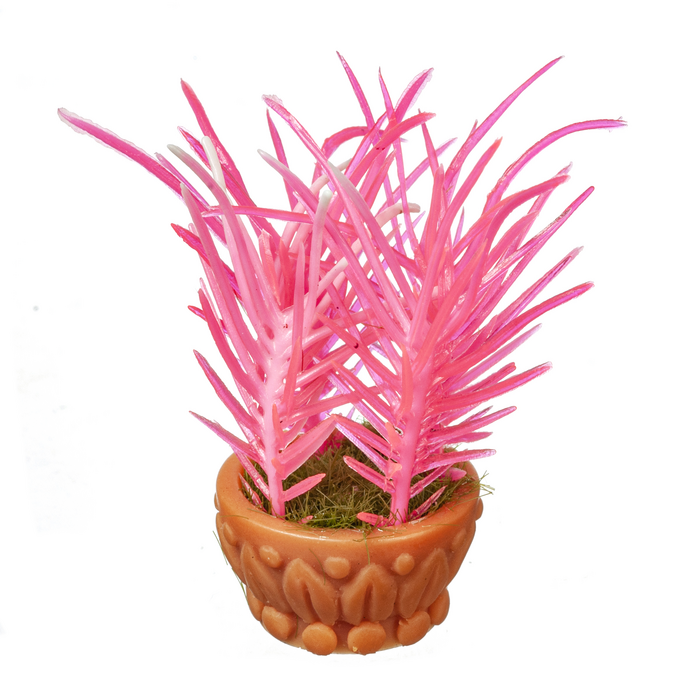 FLOWER IN POT