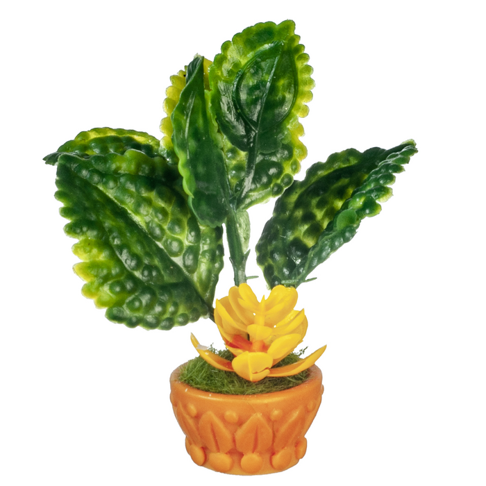 FLOWER IN POT/ORANGE