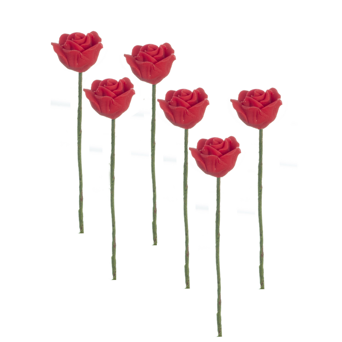 RED ROSES/6