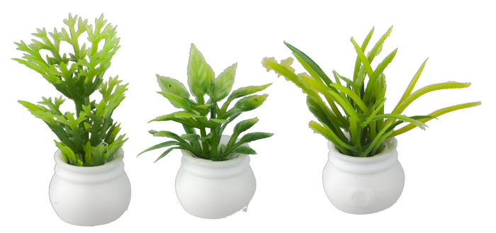 PLANTS SET OF 3