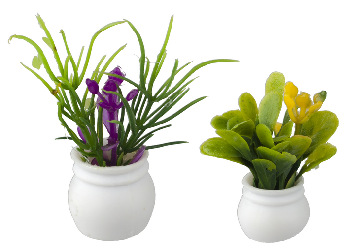 PLANTS SET OF 2