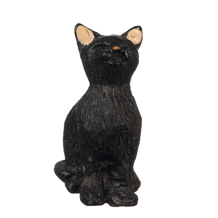 SittingCatEyesClosed/BLK
