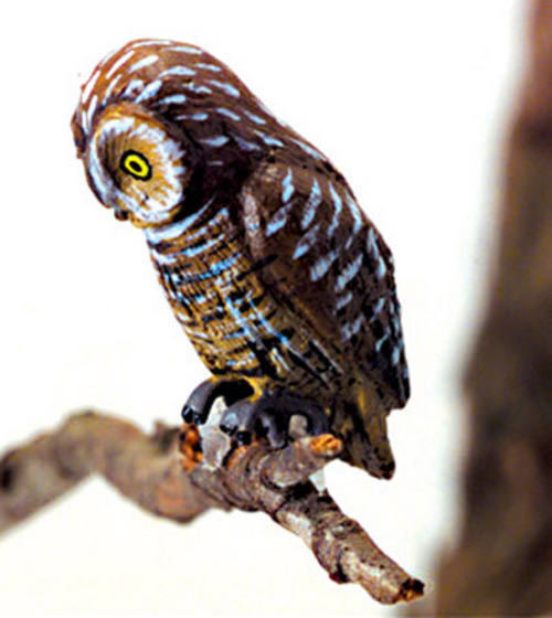 PELL'S FISHING OWL