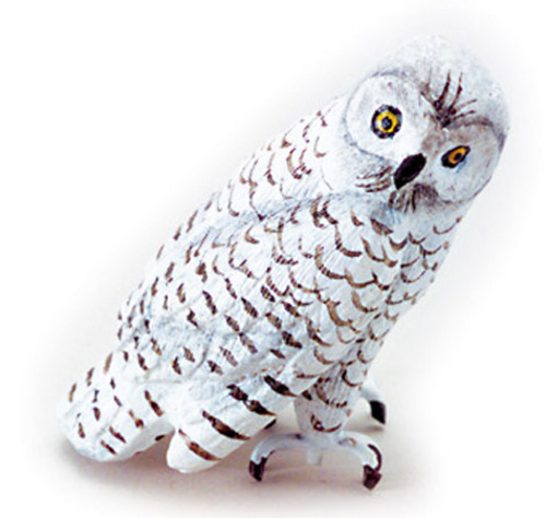 SNOWY OWL