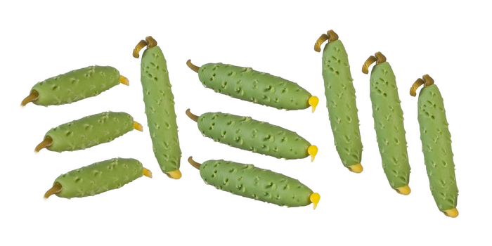 CUCUMBERS/10