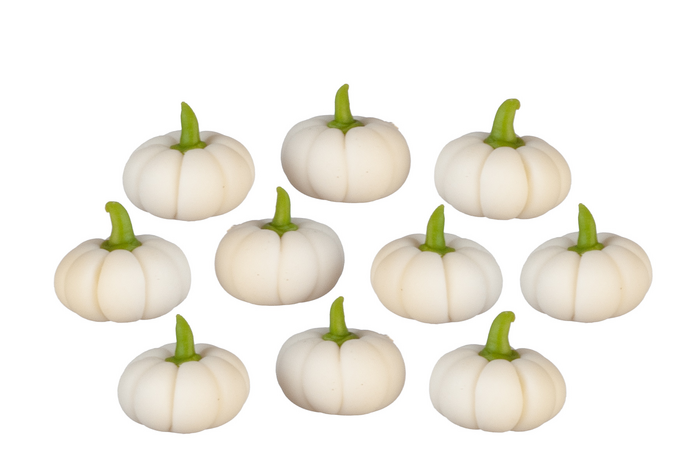 WHITE SQUASH/10