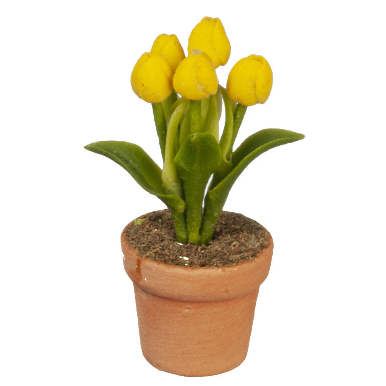 YELLOW TULIP IN POT