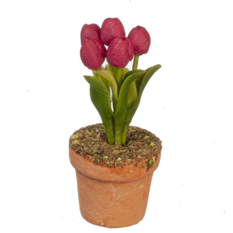 PURPLE TULIPS IN POT