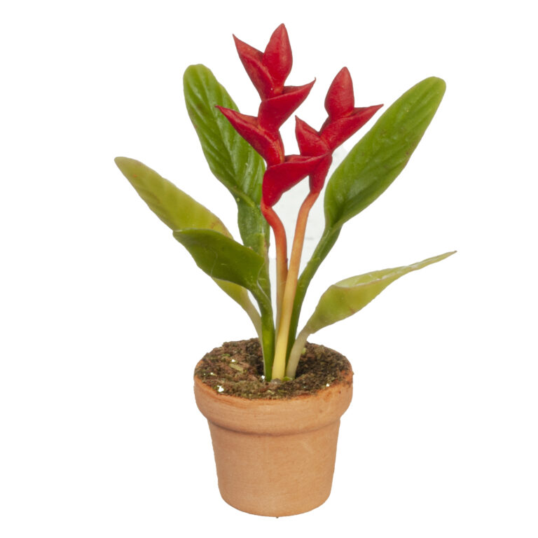 CRIMSON BIRD OF PARADISE