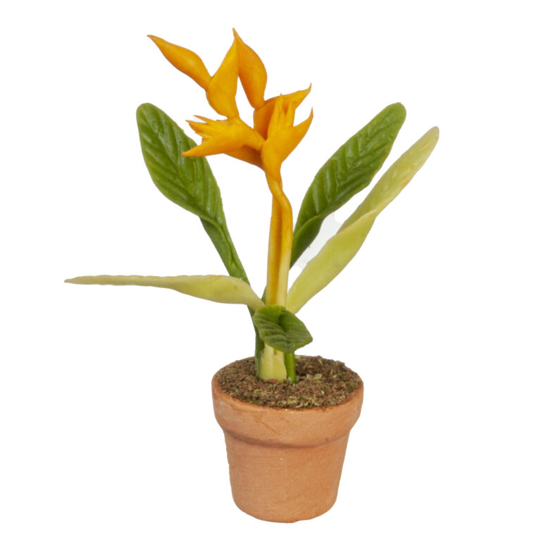 YELLOW BIRD OF PARADISE