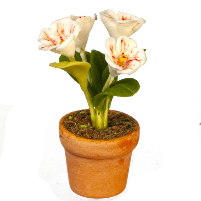 WHITE FLOWERS IN POT