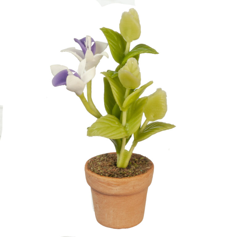 WHITE FLOWERS IN POT