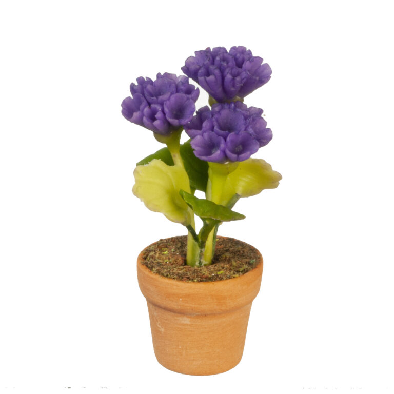 PURPLE FLOWERS IN POT