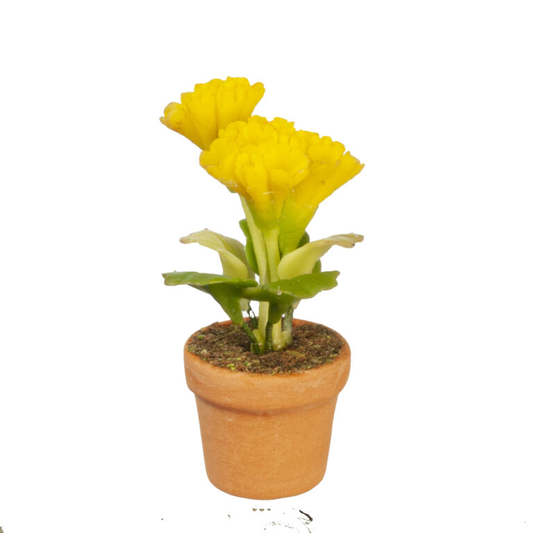 YELLOW FLOWERS IN POT