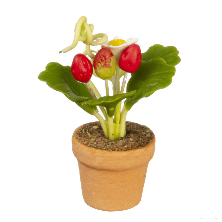 MIXED FLOWERS IN POT