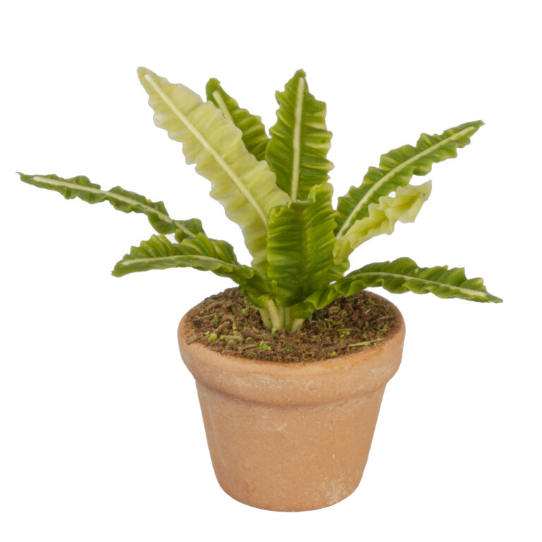 POTTED PLANT