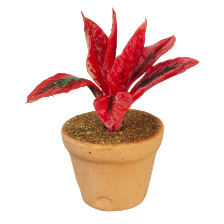 POTTED PLANT