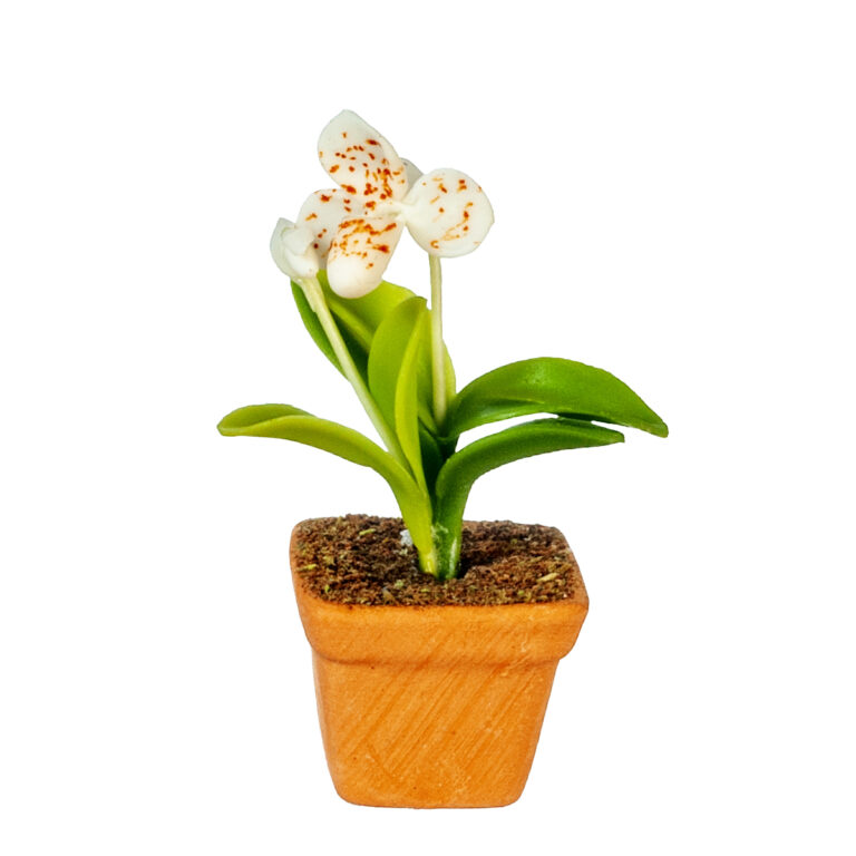ORCHID