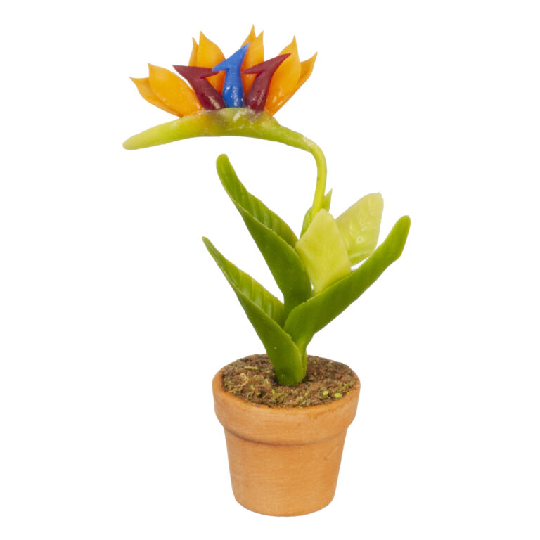 ORANGE BIRD OF PARADISE