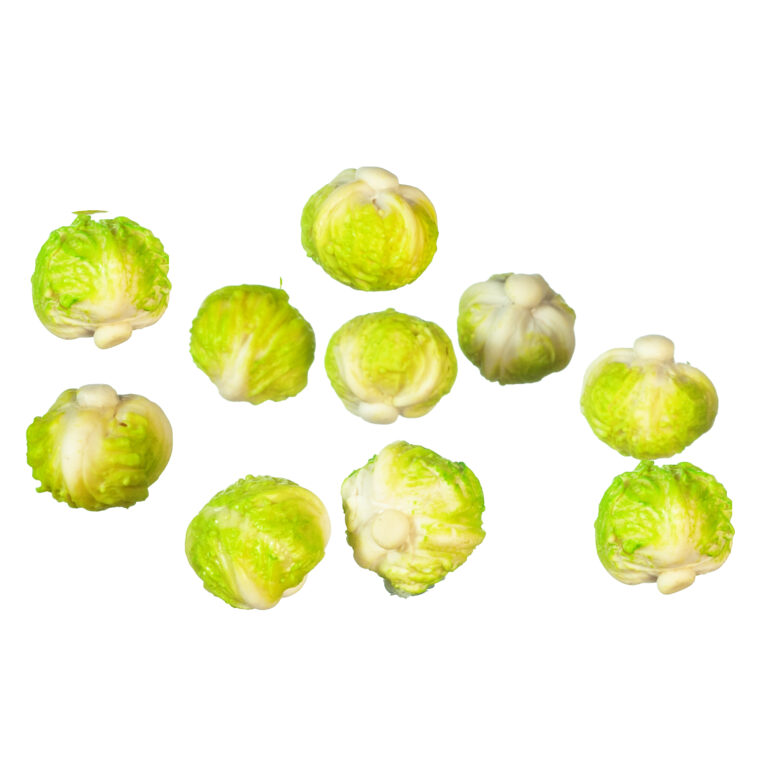 CABBAGE/10