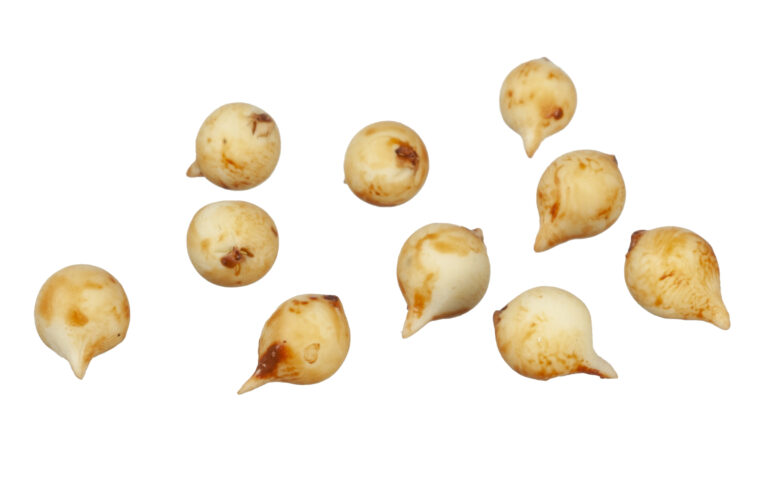 ONIONS/10