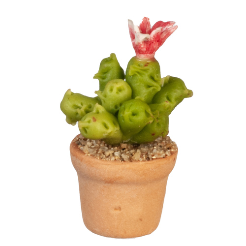CACTUS PLANT