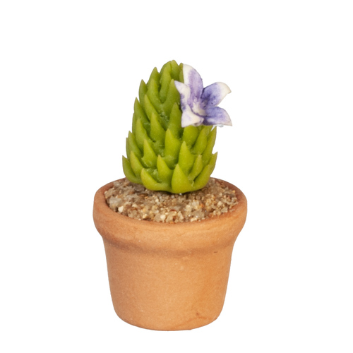 CACTUS PLANT