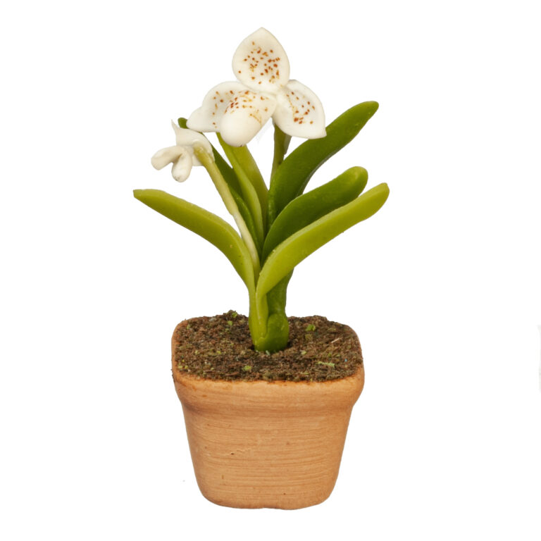 ORCHID