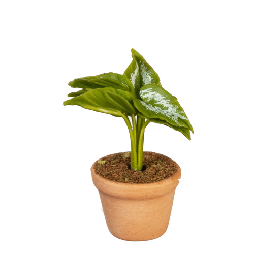 POTTED PLANT