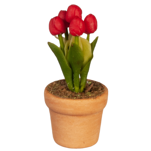 POTTED TULIP