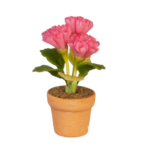POTTED FLOWER