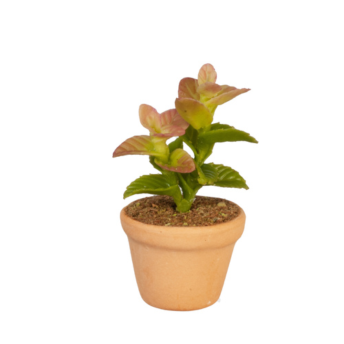POTTED PLANT
