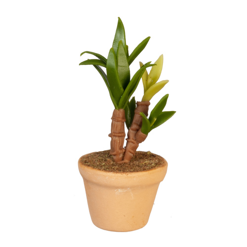 POTTED PLANT
