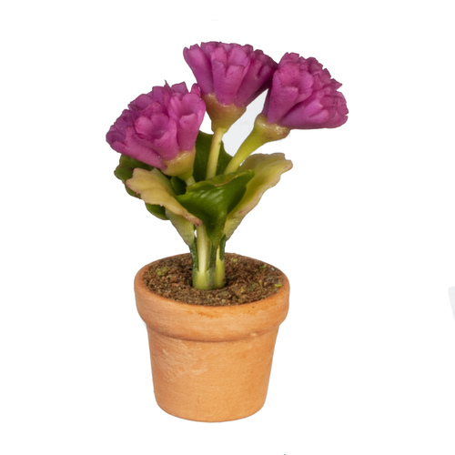 POTTED FLOWER